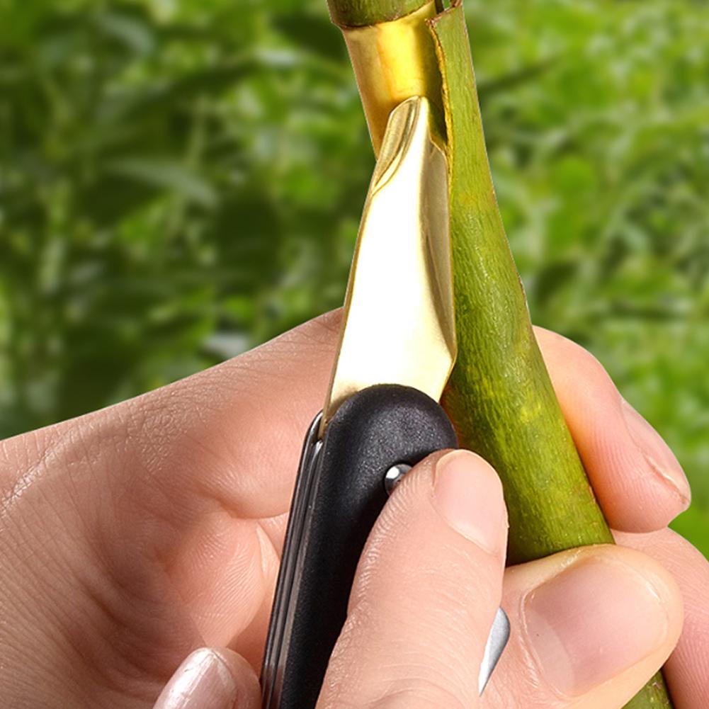 Fruit And Vegetable Grafting M - Fruit Slot Machine recension och pris
